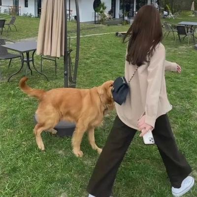 毒枭的黎明前传